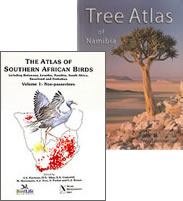 Species lists for trees and birds were compiled from data in the Tree Atlas of Namibia and the Southern African Bird Atlas Project.