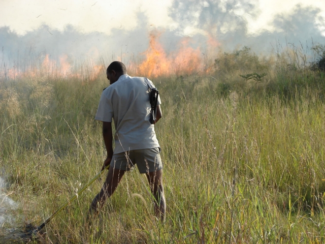 Fire management in Bwabwata National Park. Photo: Simon Mayes