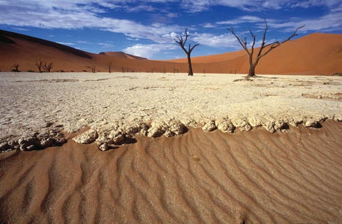 Namib Sand Sea © Paul van Schalkwyk